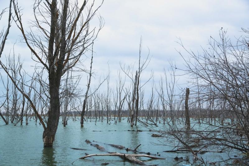 Затопленный дом и разбитое сердце: мужчина не дождался скорую во время паводка и требует компенсацию