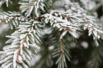 В Самарской области похолодает до -10 °C 