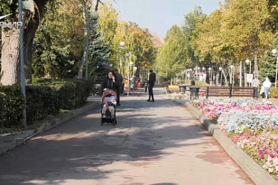 Опрос: что самарцы пожелали Владимиру Путину в день рождения