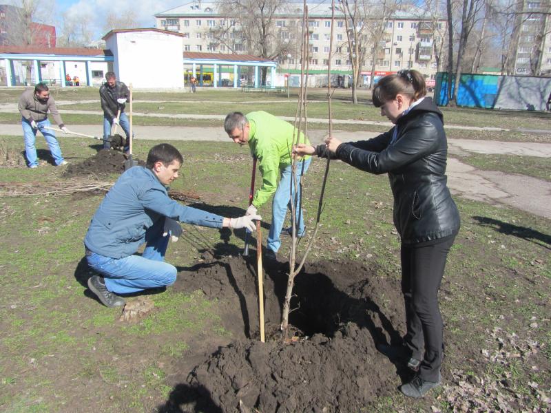 В Отрадном посадили новую Аллею Памяти