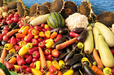 В XXII Поволжской агропромышленной выставке примут участие более 500 предприятий и организаций 