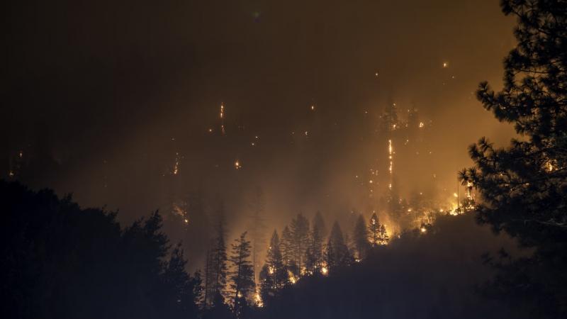В Самарской области с 4 по 8 июля объявлен желтый уровень опасности из-за угрозы лесных пожаров