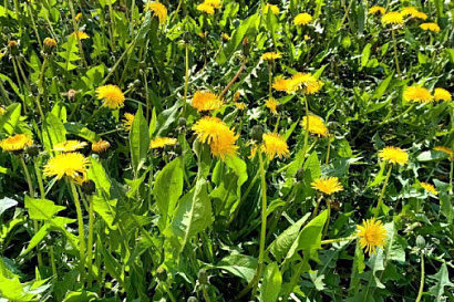 Название статьи