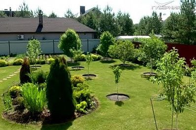 Как избавиться от мусора на дачном участке