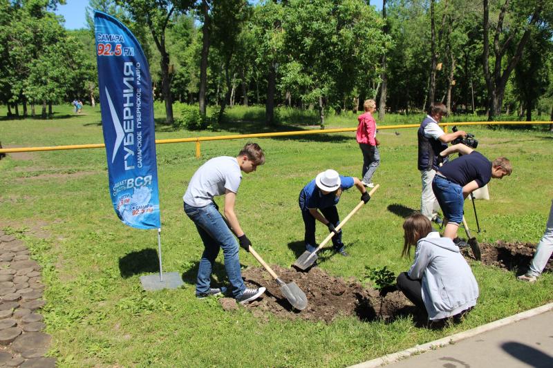 100 саженцев каштанов украсят парк "Дружба" в юбилейный год ТРК "Губерния"