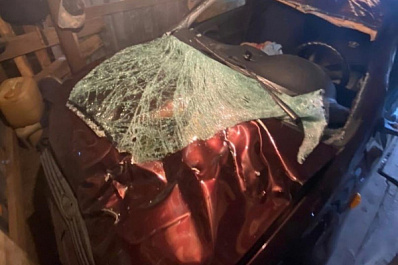 Житель Татарстана сбил лося в Самарской области