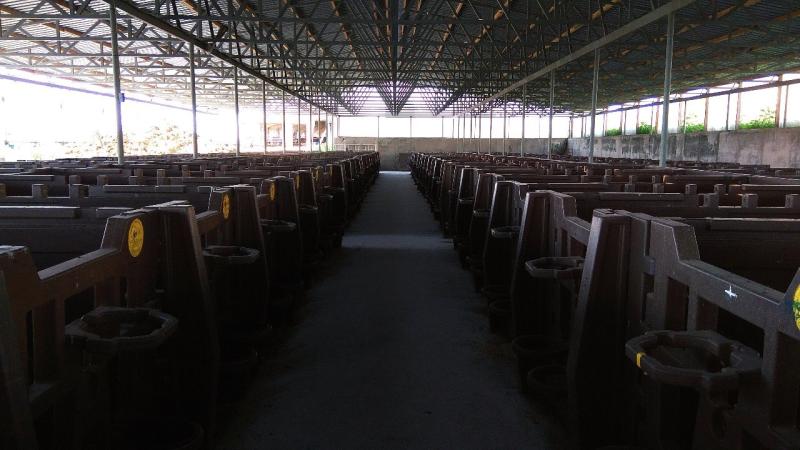 Напало животное: жительнице Самарской области выплатят компенсацию за травмы на работе