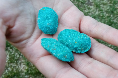 Самарцы пожаловались на разбросанный по парку Щорса яд для крыс