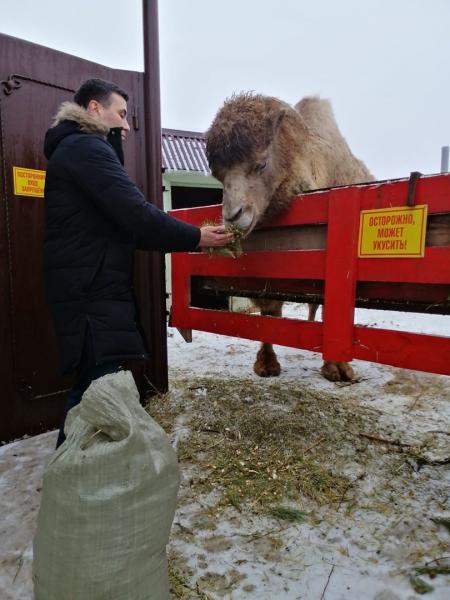В Самарской области получили больше 200 мешков щепы из новогодних елок