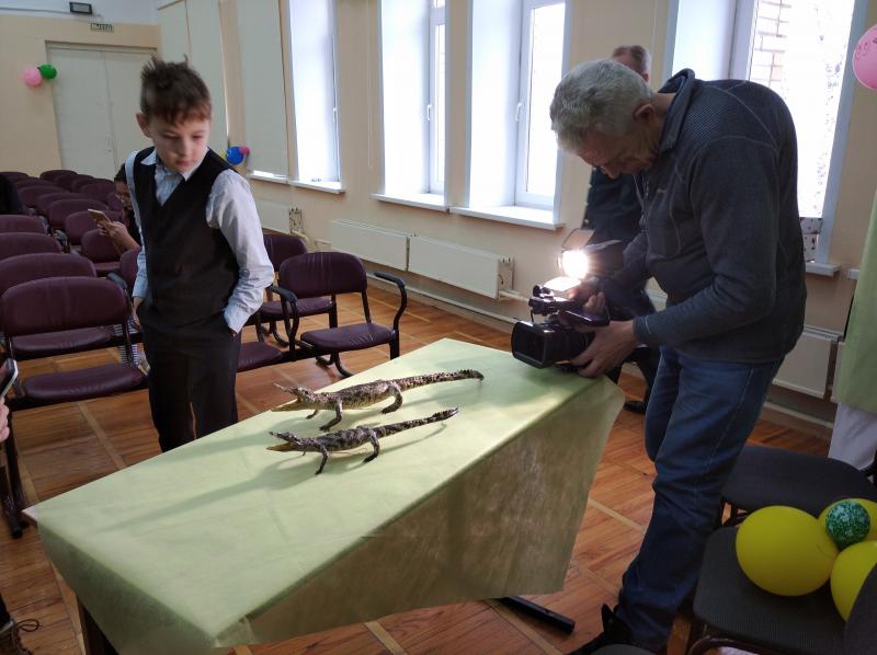 Самарцам подарили чучела редких крокодилов