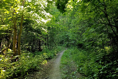 Название статьи