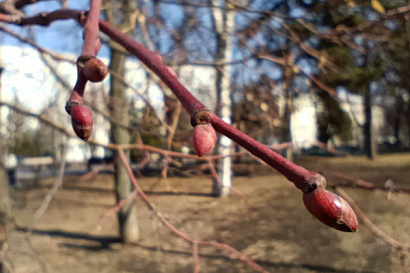Название статьи