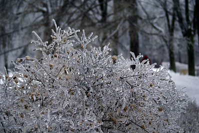 В Оренбургской области 19 марта прогнозируют ледяной дождь и метель