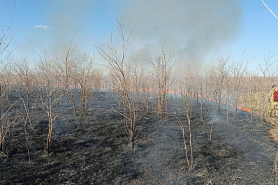 В Волжском районе горела сухая трава на 800 "квадратах"