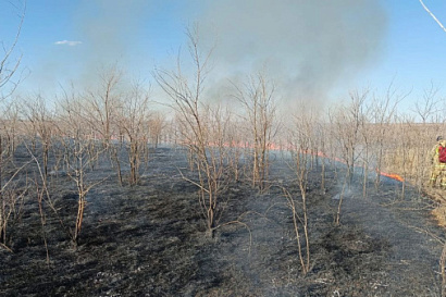 Название статьи