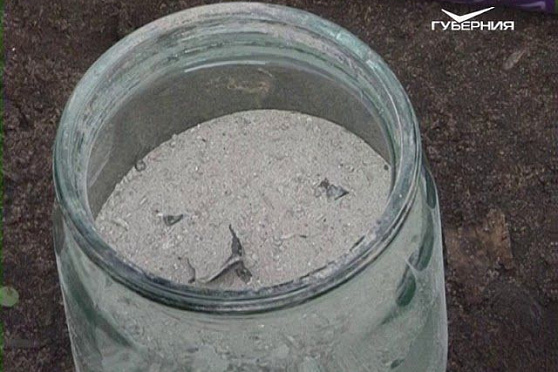 Питаем цветущую землянику и обустраиваем розарий. Удачные заметки от 05.06.2018