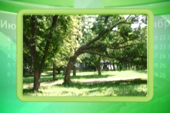 Календарь Губернии 6.07.2014