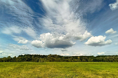Название статьи