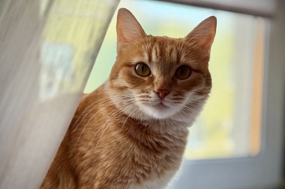 Название статьи