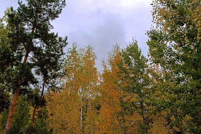 Название статьи