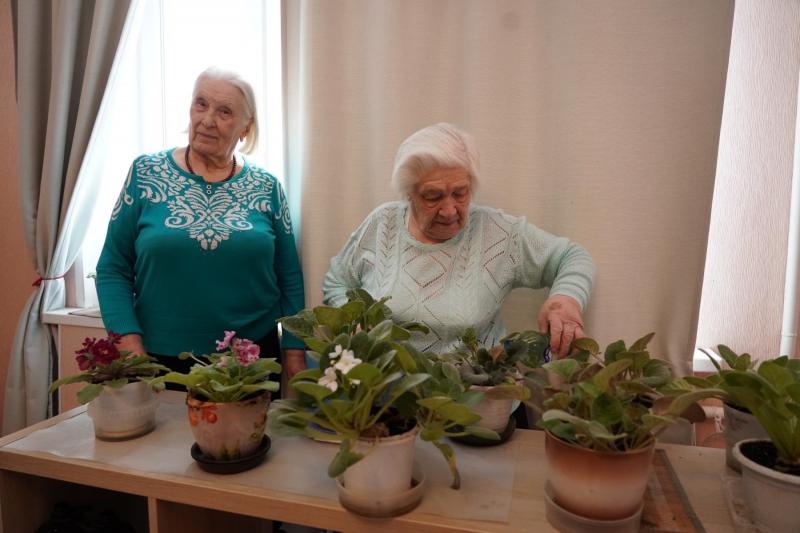 В регионе заработал новый социальный сервис "Приходящий друг"