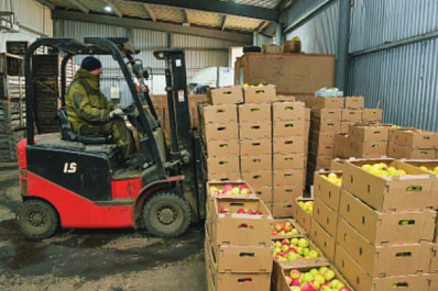 В хозяйстве "Садовод" выращивают экологически чистые ягоды и яблоки, расширяют орошаемые площади