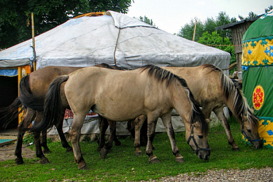 Трезвый Сабантуй: в Самарской области из-за праздника запретят продажу алкоголя