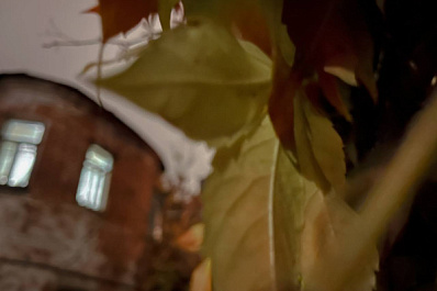 Редкие дожди и "плюс": прогноз погоды на осенние каникулы в Самарской области