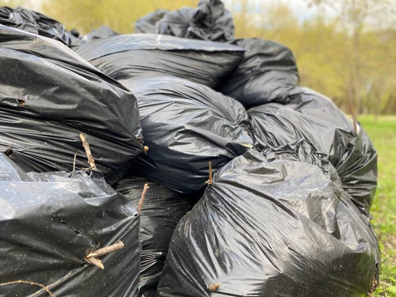 Самарцы пожаловались на кучу мусора, которую не вывозят полторы недели