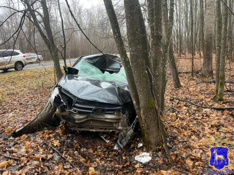 Утром 1 ноября LADA Granta сбила лося в Самарской области