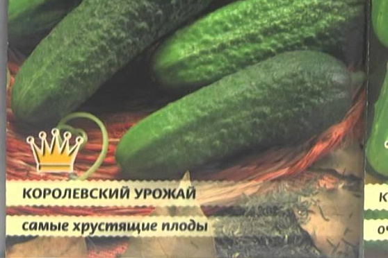 Дачные советы 13.02.2014