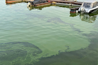 Жители Самарской области могут сдать крышки и спасти Волгу