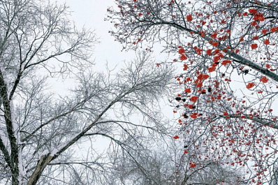 Снежно и скользко: погода в Самарской области на выходные