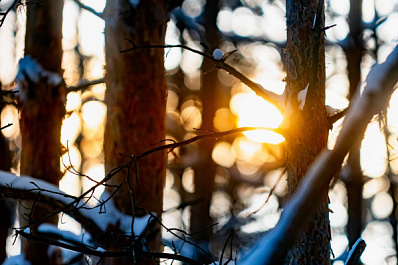 Конец ноября в Самарской области обещает быть солнечным