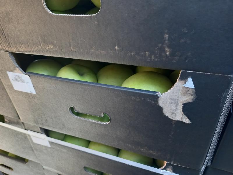 Самарские таможенники задержали 20 тонн польских яблок