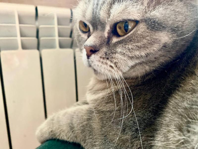 В Роспотребнадзоре напомнили самарцам о правах потребителей в отопительный сезон