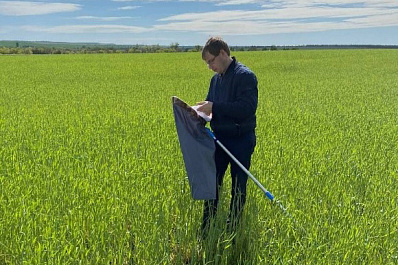 Санитары полей: как следят за здоровьем сельхозугодий в Самарской области