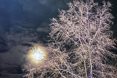 Сон в ночь с 19 на 20 февраля 2025 года: толкование по лунному календарю