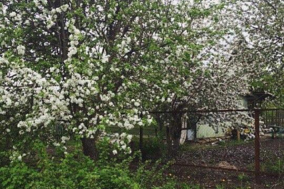 Самарские дачники смогут отложить приватизацию до 2020 года