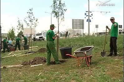 В Самаре начали обновлять насаждения вдоль Московского шоссе