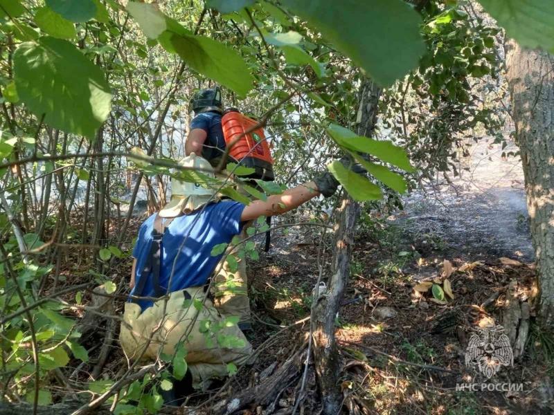 Более 200 человек продолжают тушить лес в Самарской области