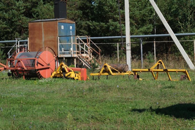 В Самарской области посадят более 130 га леса