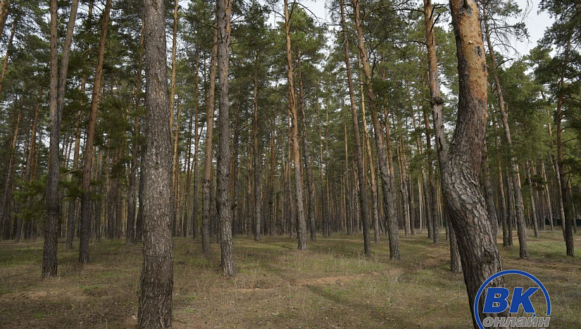 19 апреля в истории и архиве "ВК"