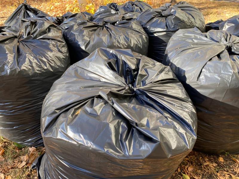 Самарцы заплатят более 1,2 млн рублей за выброс мусора в незаконных местах