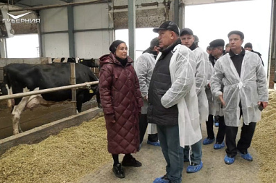Аграрии из Мордовии перенимают опыт самарских специалистов