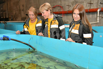 Больше 40 тысяч мальков стерляди выпустили в Саратовское водохранилище нефтяники сызранского предприятия
