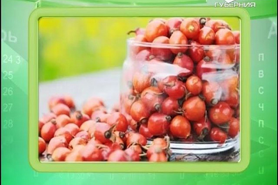 Календарь губернии 06.06.2016