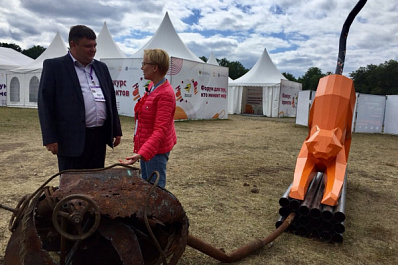 В Самаре появится металлическая кошка, сваренная из труб