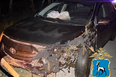 В Самарской области водитель иномарки насмерть сбил лошадь