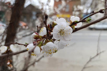 Название статьи